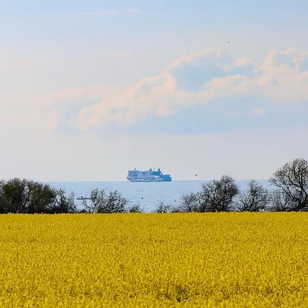 In Der Seestern