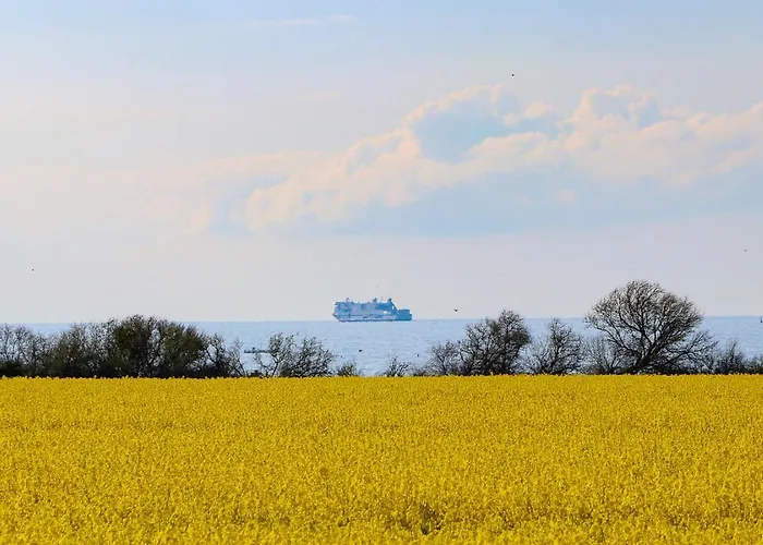 In Der Seestern