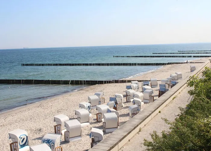 In Der Seestern *
