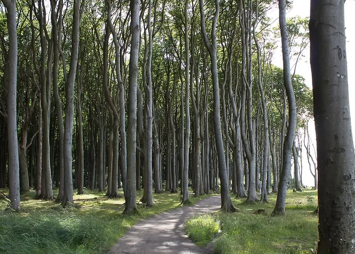 In Der Seestern Ostseebad Nienhagen